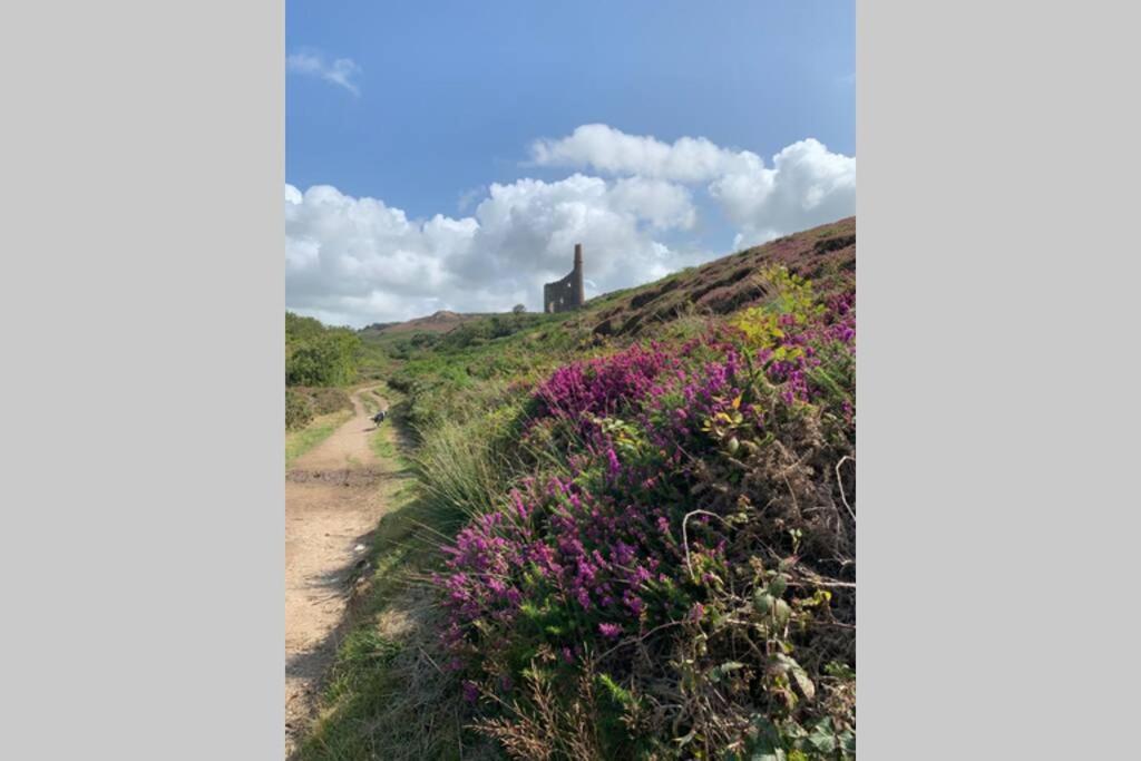 Cart Shed Cottage Truro Esterno foto